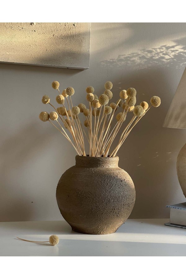 LARA DOKULU VE MAT VAZO